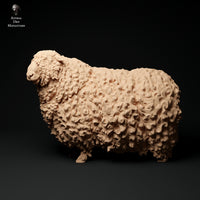 Anml-ks0122 Devon and Cornwall Longwool Ram 2