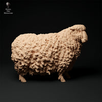 Anml-ks0125 Devon and Cornwall Longwool Sheep 2