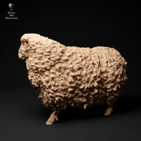 Anml-ks0125 Devon and Cornwall Longwool Sheep 2