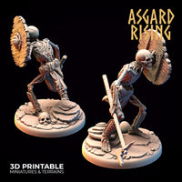 Ar-201103 DRAUGR - Undead Skeleton Infantry C