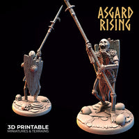 Ar-201108 DRAUGR - Undead Skeleton Infantry H