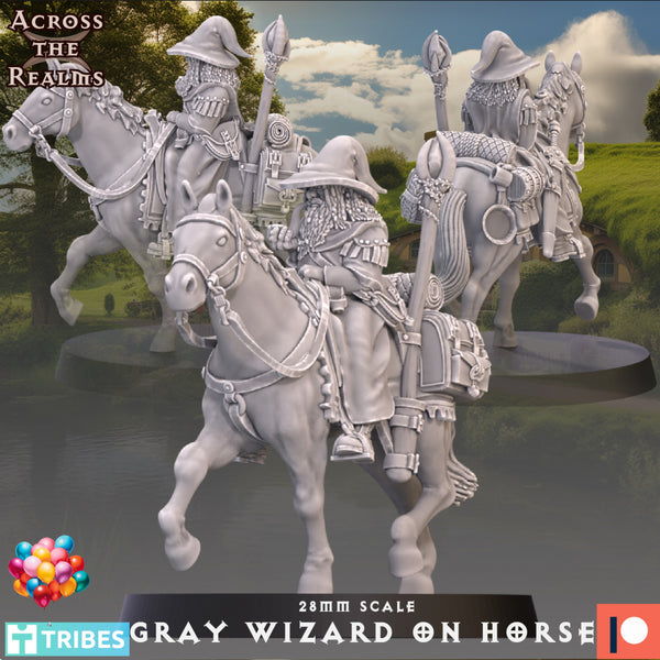 Acr-240101 Grey Wizard Mounted
