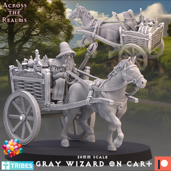 Acr-240102 Grey Wizard on Cart