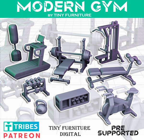 Tnyf-240401 modern gym