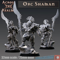 Acr-210302 orc shaman