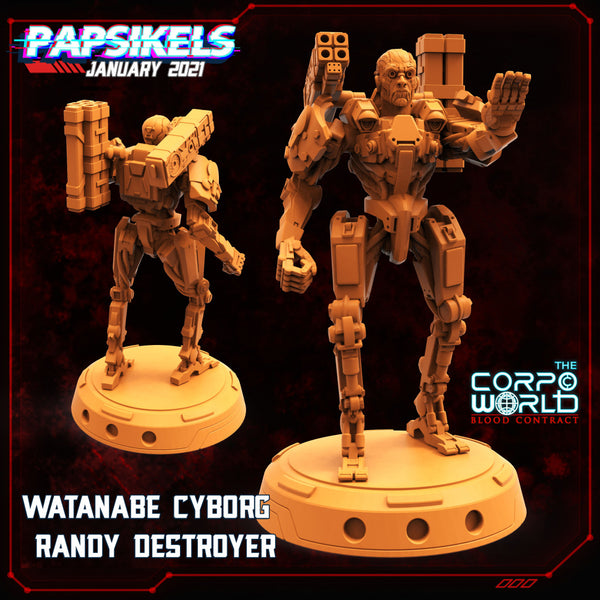 Pap-210117 watanabe cyborg  randy destroyer
