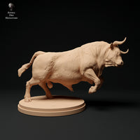 Anml-ks0129 Red Devon Bull Charging