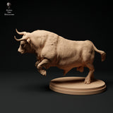 Anml-ks0129 Red Devon Bull Charging