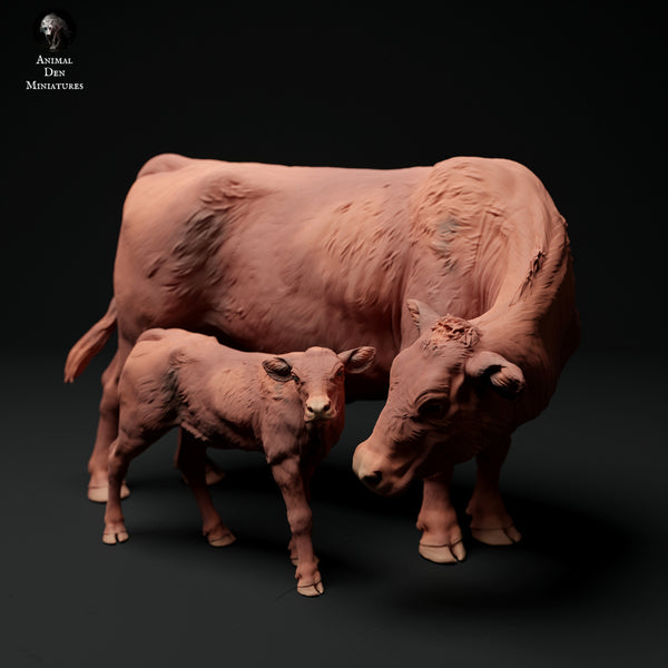Anml-ks0135 Red Devon Cow with Calf