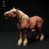 Anml-ks0139 Suffolk Punch Horse neigh