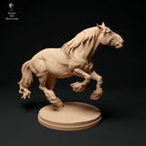 Anml-ks0140 Suffolk Punch Horse running