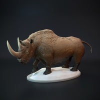 DinD-220811 woolly rhinoceros standing