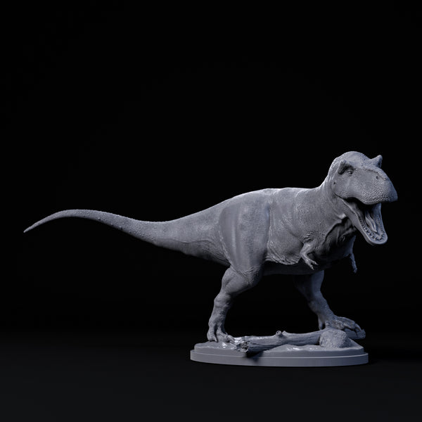 DinD-240203 Tyrannosaurus roar