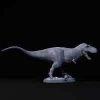 DinD-240203 Tyrannosaurus roar