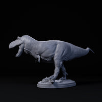 DinD-240203 Tyrannosaurus roar