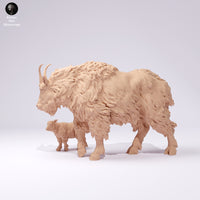 Anml-250108 rocky mountain goat female and kid(マウンテンゴート）