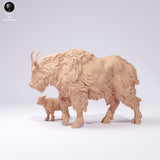 Anml-250108 rocky mountain goat female and kid(マウンテンゴート）