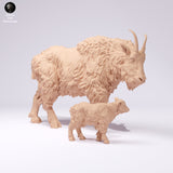 Anml-250108 rocky mountain goat female and kid(マウンテンゴート）