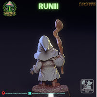 Ccm-250609 Mushroom Runii