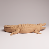 Anml-260504 Saltwater Crocodile（イリエワニ）