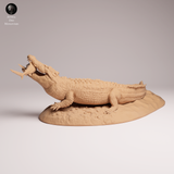 Anml-260506 Saltwater Crocodile prey