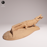 Anml-260506 Saltwater Crocodile prey