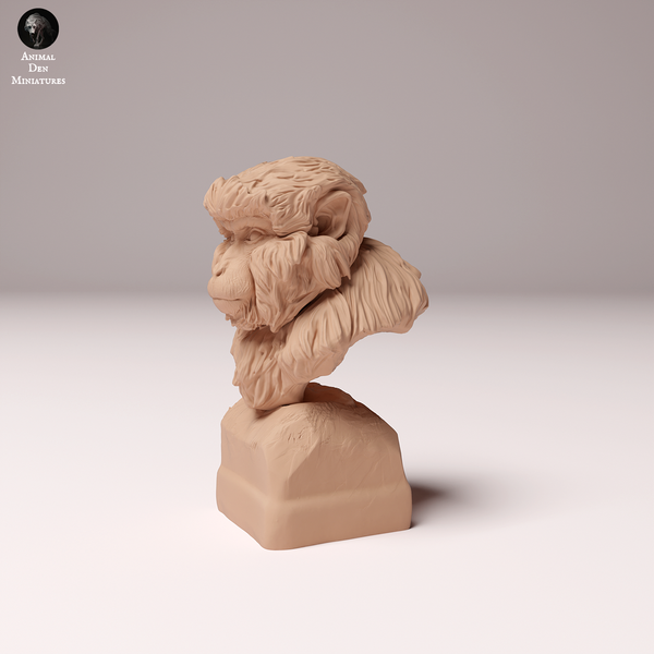 Anml-241003 japanese macaque bust ニホンザル