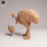 Anml-260510 Southern Cassowary with chick（ヒクイドリ）