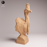 Anml-260508 Southern Cassowary bust（ヒクイドリ）