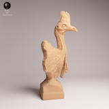 Anml-260508 Southern Cassowary bust（ヒクイドリ）