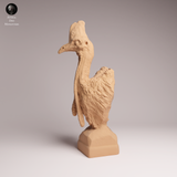 Anml-260508 Southern Cassowary bust（ヒクイドリ）