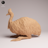 Anml-260509 Southern Cassowary Lying（ヒクイドリ）