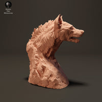 Anml-230811 spotted hyena bust