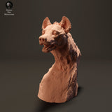 Anml-230811 spotted hyena bust