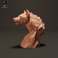 Anml-230811 spotted hyena bust