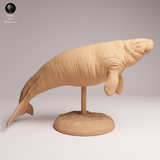 Anml-260405 Steller's sea cow（ ステラーカイギュウ）