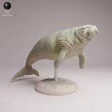 Anml-260405 Steller's sea cow（ ステラーカイギュウ）