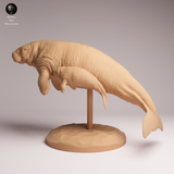 Anml-260406 Steller's sea cow and calf（ ステラーカイギュウ）