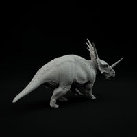 DinD-231101 Styracosaurus walking