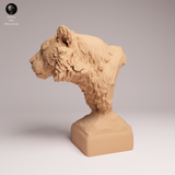 Anml-251007 sumatran tiger bust