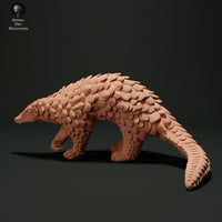 Anml-230509 Sunda Pangolin