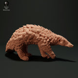 Anml-230509 Sunda Pangolin