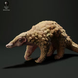 Anml-230509 Sunda Pangolin