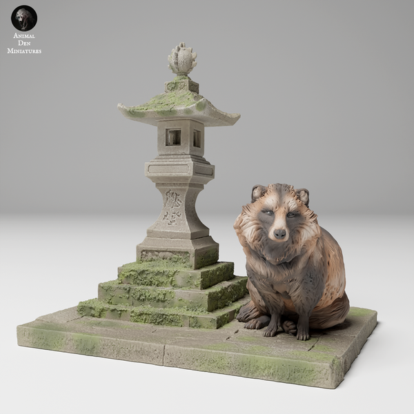 Anml-241109 Tanuki next to lantern