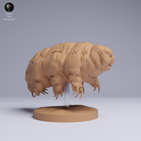 Anml-250507 tardigrade（クマムシ）