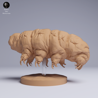 Anml-250507 tardigrade（クマムシ）