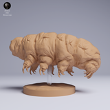 Anml-250507 tardigrade（クマムシ）
