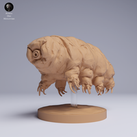Anml-250507 tardigrade（クマムシ）