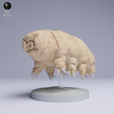 Anml-250507 tardigrade（クマムシ）