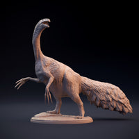 DinD-w004 Therizinosaurus テリジノサウルス